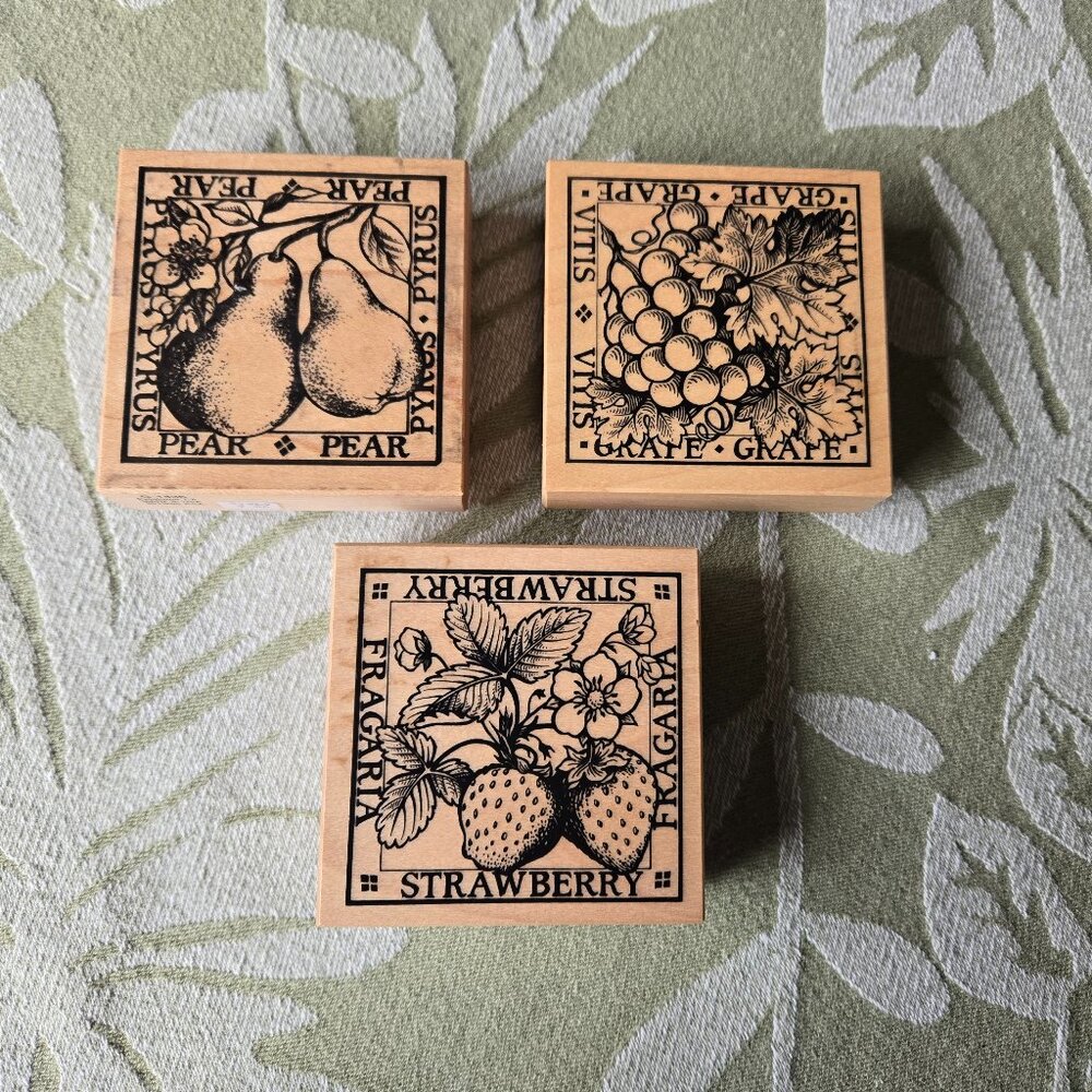 PSX Set of 3 Rubber Stamps- Fruit series